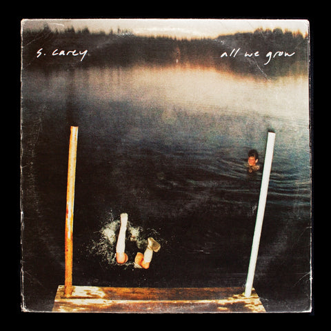 S. Carey – All We Grow (2010) - New LP Record 2020 Jagjaguwar Limited Seaglass Wave Vinyl - Alternative Rock / Folk