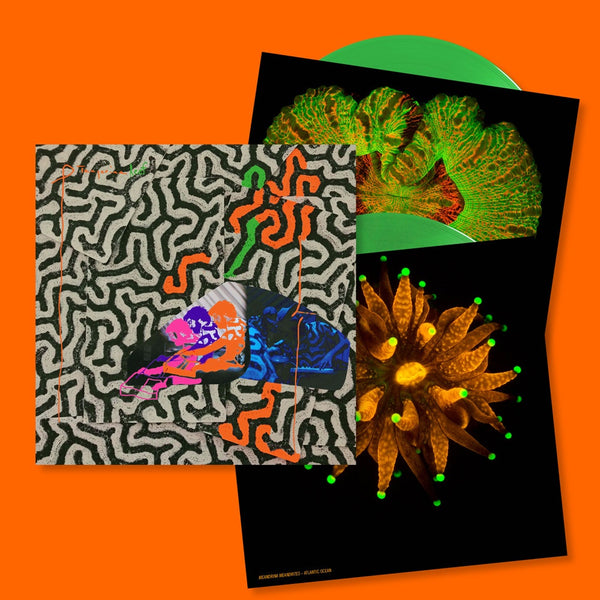 Animal Collective - Tangerine Reef - New Vinyl 2 Lp 2018 Domino Pressing on 180 gram Green Vinyl with Etched D-Side & Download - Psych / Electronica