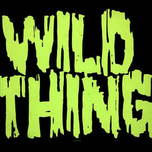 X – Wild Thing - Mint- 12" Single Record 1984 Elektra Vinyl - Alternative Rock