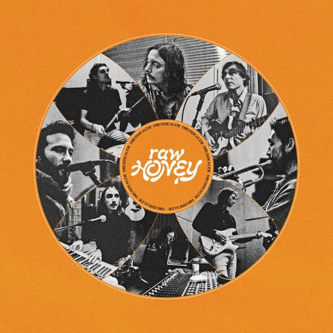 Drugdealer - Raw Honey - New LP Record 2019 Mexican Summer Vinyl & Download - Psychedelic Rock / Indie Pop
