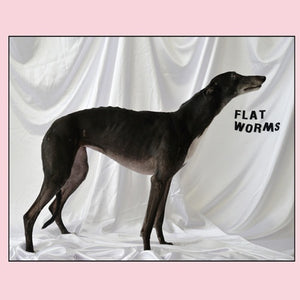 Flat Worms ‎– Flat Worms - New LP Record 2017 USA Vinyl / Ty Segall - Garage Rock