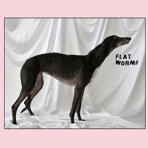 Flat Worms ‎– Flat Worms - New LP Record 2017 USA Vinyl / Ty Segall - Garage Rock