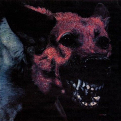Protomartyr – Under Color Of Official Right - Mint- Lp Record 2014 USA (w/ Zine-Booklet) Original Vinyl - Rock / Post-Punk