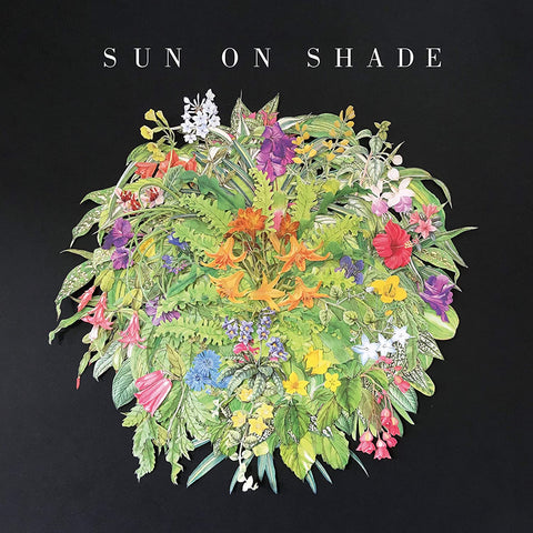 Heath Fogg ‎(Alabama Shakes) – Sun On Shade - New LP Record 2020 ATO USA Vinyl - Rock