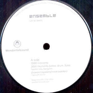 Ensemble  / The Boring Ordinary ‎– 3000 Moments - New 12" Single 2003 UK Wonderfulsound Vinyl - Downtempo / Ambient