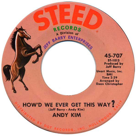 Andy Kim ‎– How'd We Ever Get This Way? / Are You Ever Coming Home - VG+ 45rpm 1968 USA Steed Records - Rock / Pop