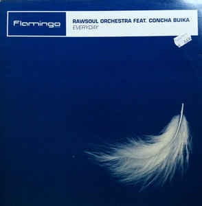 Rawsoul Orchestra Feat. Concha Buika ‎– Everyday - Mint 12" Single Record 2002 Spain Flamingo Disco Vinyl - House / Breaks