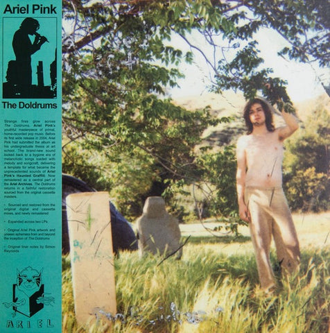 Ariel Pink's Haunted Graffiti ‎– The Doldrums - New 2 LP Record 2020 Mexican Summer USA Vinyl - Psychedelic Rock / Lo-Fi / Experimental
