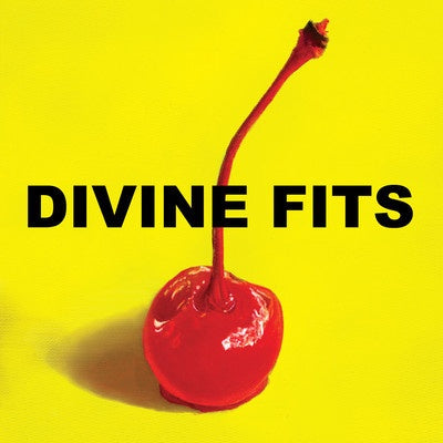 Divine Fits – A Thing Called Divine Fits - Mint- LP Record 2012 Merge USA Vinyl & Download - Indie Rock - Shuga Records