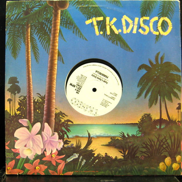 Fenderella - A Wild And Crazzy Song 12" Mint- TDK 448 Vinyl 1980 Record - Shuga Records