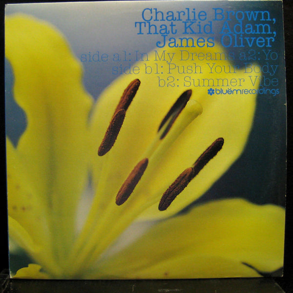 Charlie Brown / That Kid Adam / James Oliver - In My Dreams - Mint- 12" Single Record 2003 Bluem Recordings USA Vinyl - House / Deep House - Shuga Records