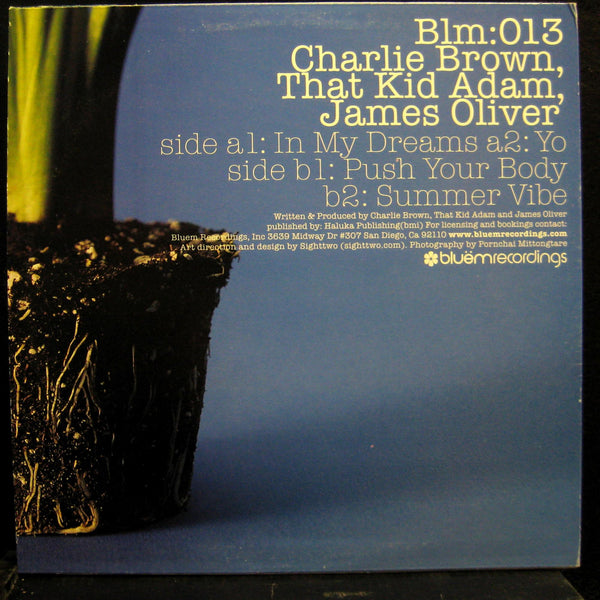 Charlie Brown / That Kid Adam / James Oliver - In My Dreams - Mint- 12" Single Record 2003 Bluem Recordings USA Vinyl - House / Deep House - Shuga Records