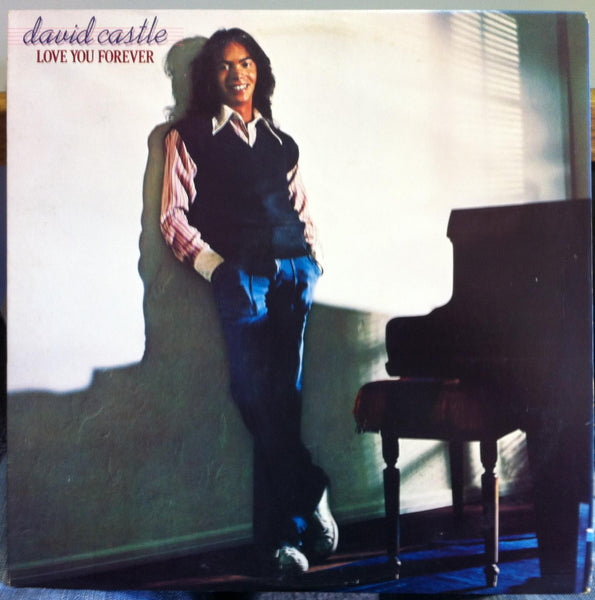 David Castle - Love You Forever - Mint- LP Record 1979 Parachute Promo Stereo Vinyl - Soft Rock / Disco / AOR - Shuga Records