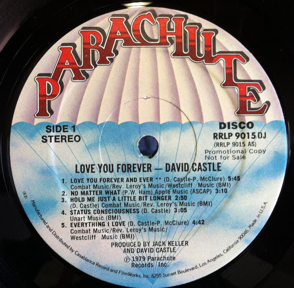 David Castle - Love You Forever - Mint- LP Record 1979 Parachute Promo Stereo Vinyl - Soft Rock / Disco / AOR - Shuga Records