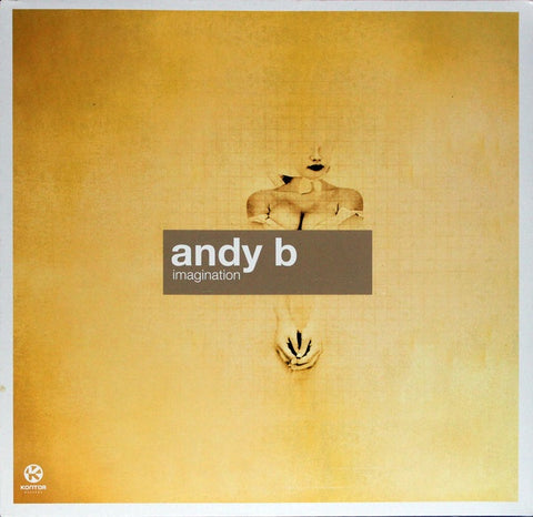Andy B. ‎– Imagination - VG+ 12" Single 2002 Germany - Trance