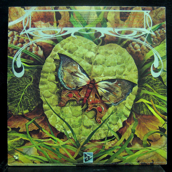 Spyro Gyra - Morning Dance - Mint- LP Record 1979 Infinity USA Vinyl - Jazz-Funk / Fusion - Shuga Records