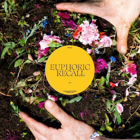 Braids - Euphoric Recall - New LP Record 2023 Secret City Vinyl - Indie Rock / Art Rock
