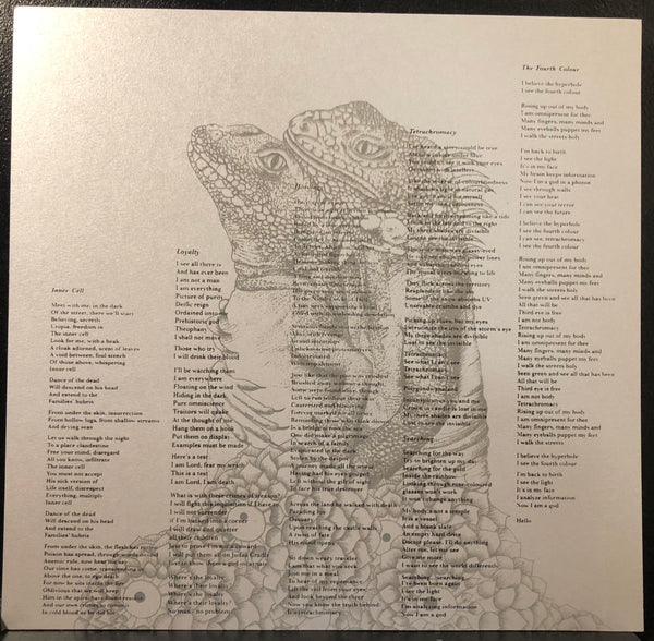 King Gizzard And The Lizard Wizard ‎– Polygondwanaland - New LP Record 2018 Shuga Exclusive 180 gram Black Test Press Promo Vinyl & B&W Screen Screened Starman Press Cover & Slipmat, Lyric/Liner Notes Insert & Sticker - Psychedelic Rock - Shuga Records