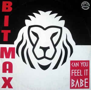 Bit Max ‎– Can You Feel It Babe - VG+ - 12" Single Record - 1992 Italy Dig It International Vinyl -   Euro House / Techno