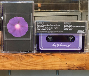 Mark Whalen - Morning Glory - New Cassette 2018 Purple Tape - Detroit Indie Pop