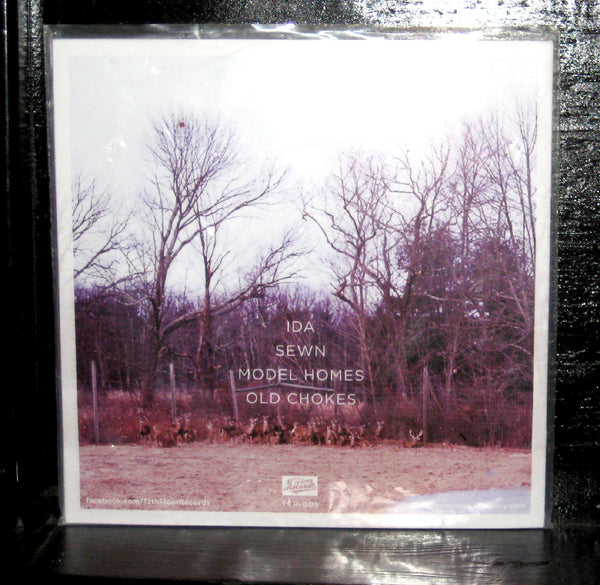 Frameworks - Small Victories Mint- 7" Black Vinyl 45 2013 US 13th Floor TFR-005 - Shuga Records