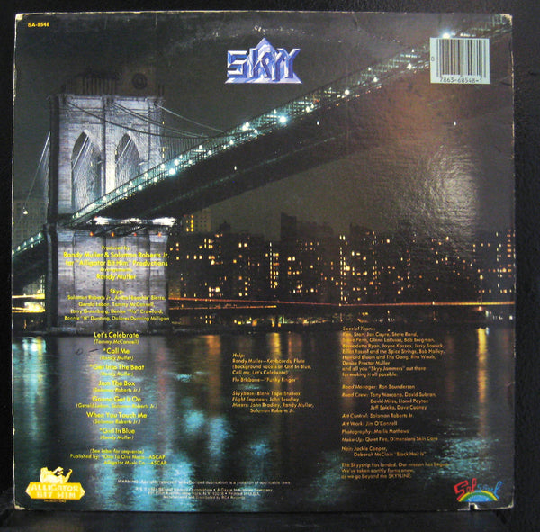 Skyy - Skyy Line LP VG+ SA 8548 Salsoul Records Stereo 1981 USA Vinyl Record - Shuga Records