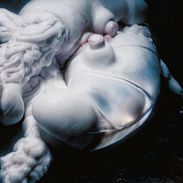 Björk – Arisen My Senses - New 12" Single Record 2018 One Little Indian UK Slug Genital Colored Vinyl - Electronic / Ambient / Footwork / Experimental - Shuga Records