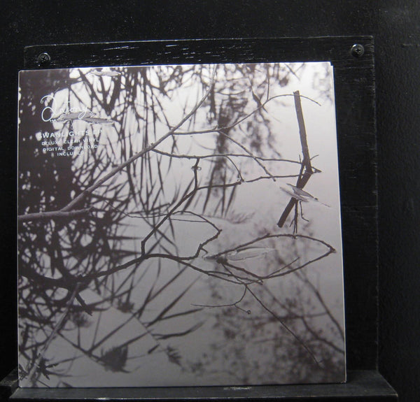 Antony And The Johnsons - Swanlights - Mint- EP Record Store Day 2011 Secretly Canadian RSD Clear Vinyl & Download - Pop Rock / Avantgarde - Shuga Records