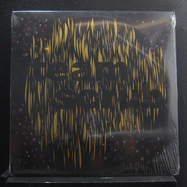 Team Scrub - Never Again For The First Time - New LP Record 2007 Self-released USA Vinyl -Electronic / Dub / Leftfield - Shuga Records