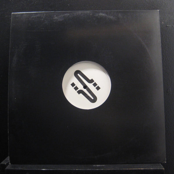 Deepsky - View From A Stairway 12" Mint- 67728-54709-1 White Promo Vinyl Record - Shuga Records