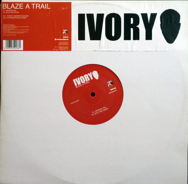 Ivory ‎– Blaze A Trail VG+ 12" Single 2004 Chinese Pop / Jason Air Records Promo (UK Import) - Breaks