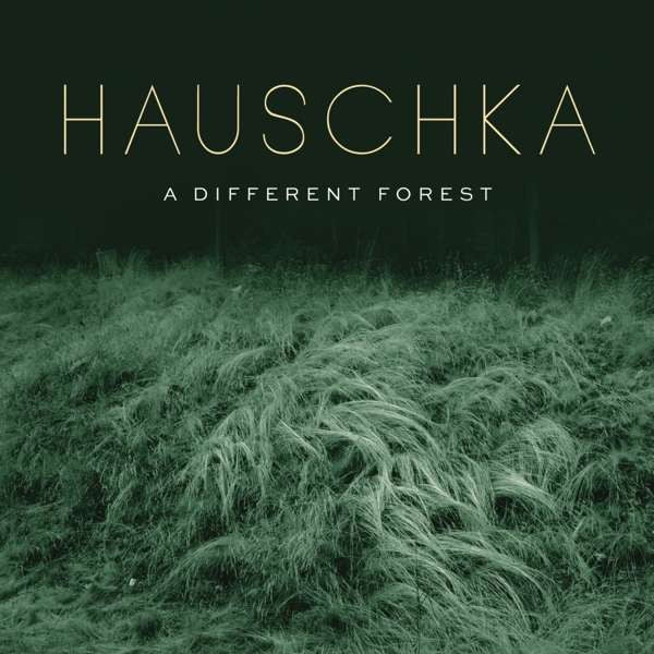 Hauschka ‎– A Different Forest - New Lp Record 2019 Sony German Import Vinyl & Download - Classical