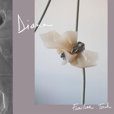 Diana - Familiar Touch - New Vinyl Record 2017 Culvert Music LP - Synthpop / Electropop