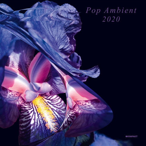 Various ‎– Pop Ambient 2020 - New 2 LP Record 2019 Kompakt German Import Vinyl, Book & Download - Electronic / Ambient