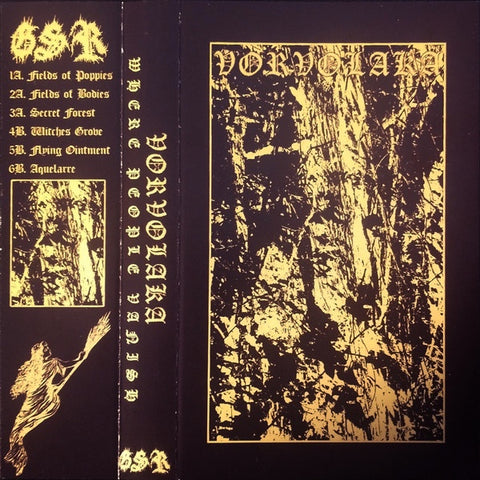 Vorvolaka – Where People Vanish - New Cassette 2021 Grime Stone Tape - Electronic / Rock / Dungeon Synth