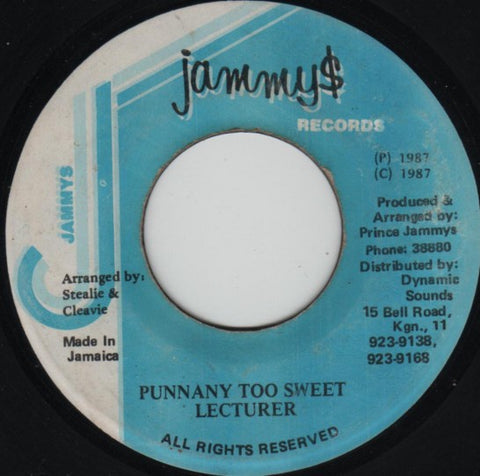 Lecturer - Punnany Too Sweet / Version - VG 7" Single 45rpm 1987 Jammy's Jamaica - Reggae / Dub