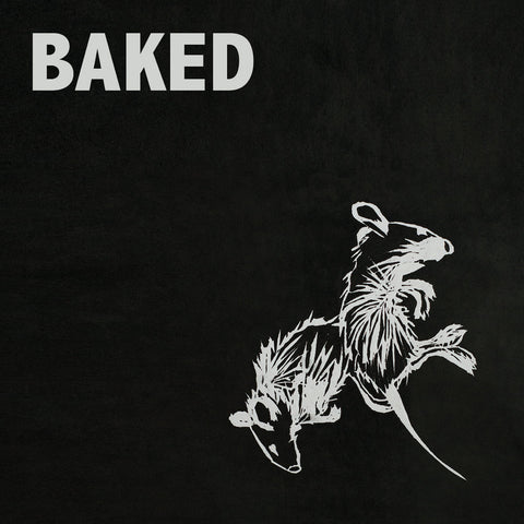 Baked - Farnham - New Vinyl Record 2017 Exploding in Sound LP w/ Insert Sheet - Psychedelic / Shoegaze (feat. members of Titus Andronicus + Ovlov)