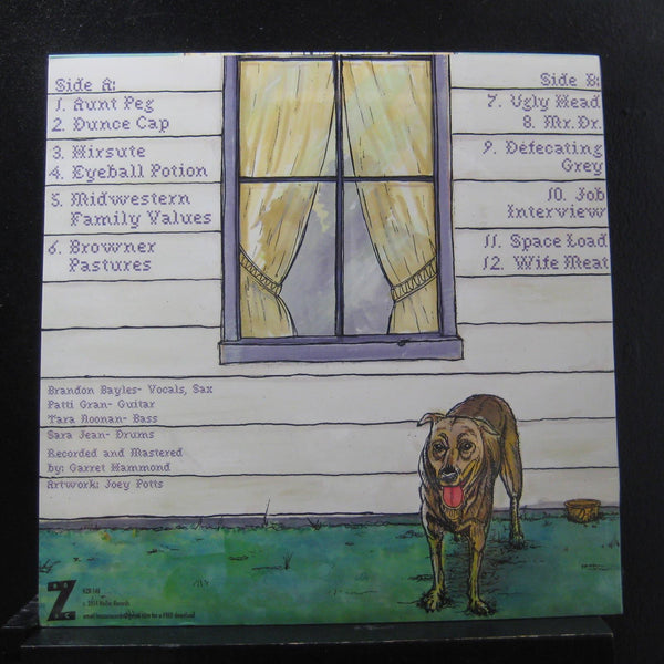 Nones - Midwestern Family Values - Mint- LP Record 2014 HoZac USA Black Vinyl & Insert - Chicago Rock / Post-Punk - Shuga Records