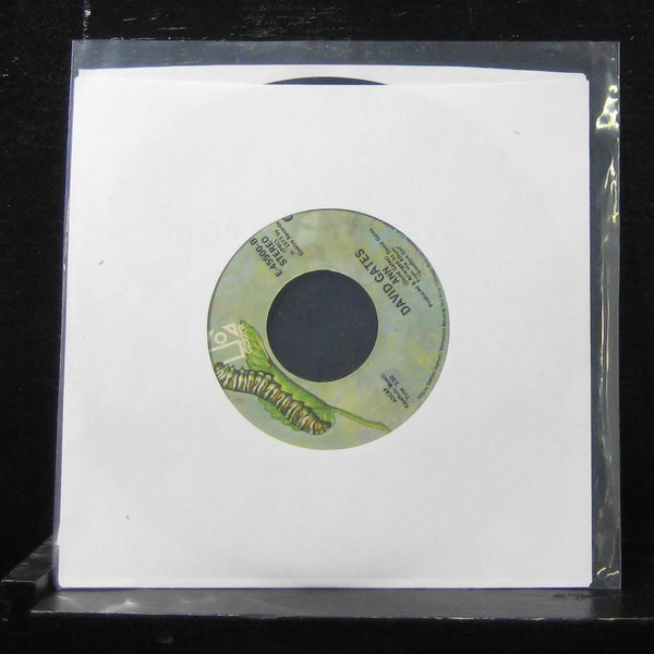 David Gates - Took The Last Train / Ann 7" VG+ E-45500 Vinyl 45 1978 Elektra USA - Shuga Records