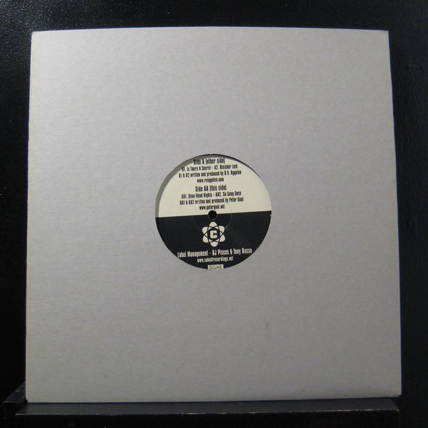 Ronald Van Aggelen / Peter Gual - Secret Nights EP 12" VG+ COBALT003 Record - Shuga Records