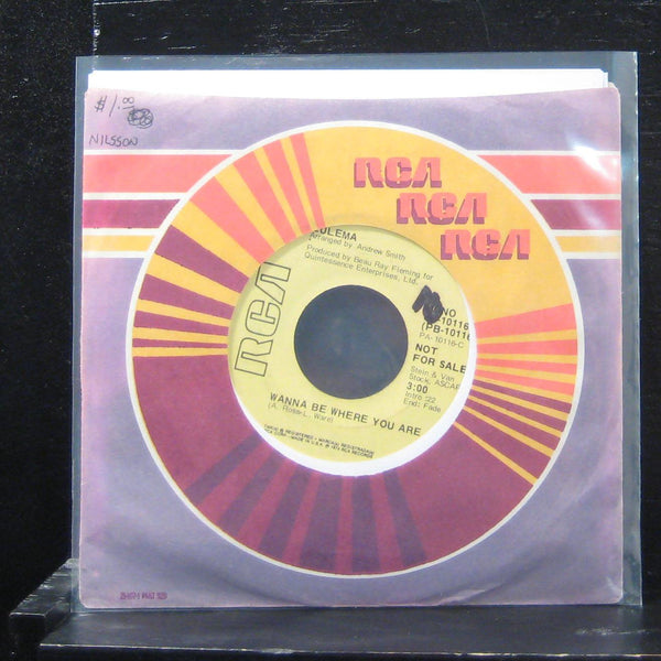 Zulema - Wanna Be Where You Are Mono/Stereo 7" VG+ JH-10116 Vinyl 45 Promo - Shuga Records