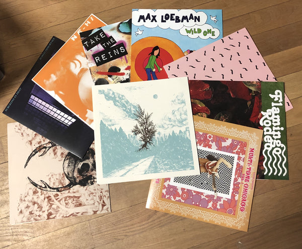 Dehd - Ne-Hi - Flamingo Rodep & More Shuga Records Chicago Label - 9 LP Set Bundle -  Rock - Shuga Records