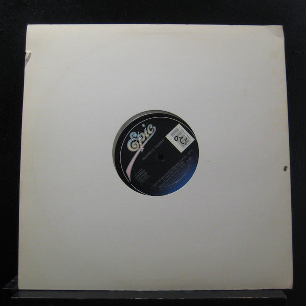 Claudja Barry - Hot To The Touch 12" Mint- 49 07496 Epic 1987 Vinyl Record - Shuga Records