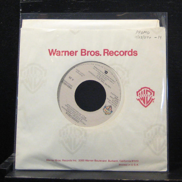 Ambrosia - You're The Only Woman (You &I) 7" VG+ WBS48508 Vinyl 45 - Shuga Records