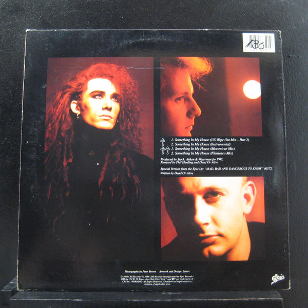 Dead Or Alive - Something In My House 12" Mint- 49-06750 Epic Vinyl Record - Shuga Records