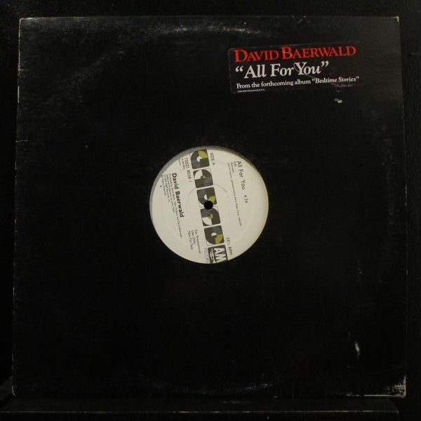 David Baerwald - All For You 12" VG+ 75021 8038 1 White Promo Vinyl Record - Shuga Records