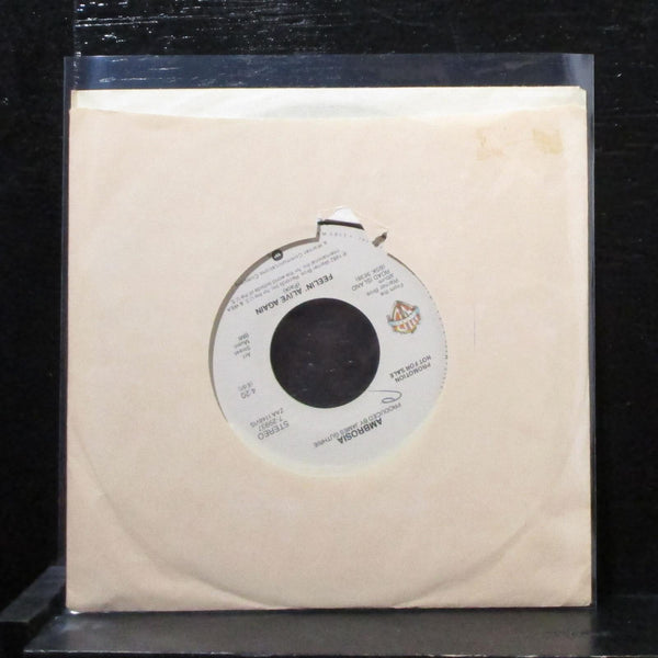 Ambrosia - Feelin' Alive Again 7" Mint- Promo Vinyl 45 WB 7-29937 USA 1982 - Shuga Records