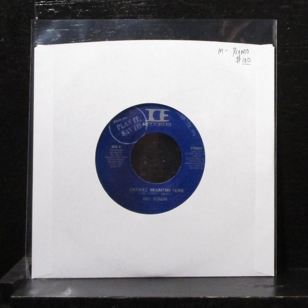 Ray Agnew - Catskill Mountain Home 7" Mint- Promo Vinyl 45 ICE Records 1988 - Shuga Records