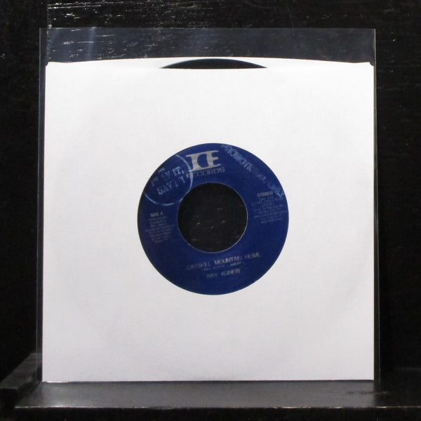 Ray Agnew - Catskill Mountain Home 7" Mint- Promo Vinyl 45 ICE Records 1988 - Shuga Records