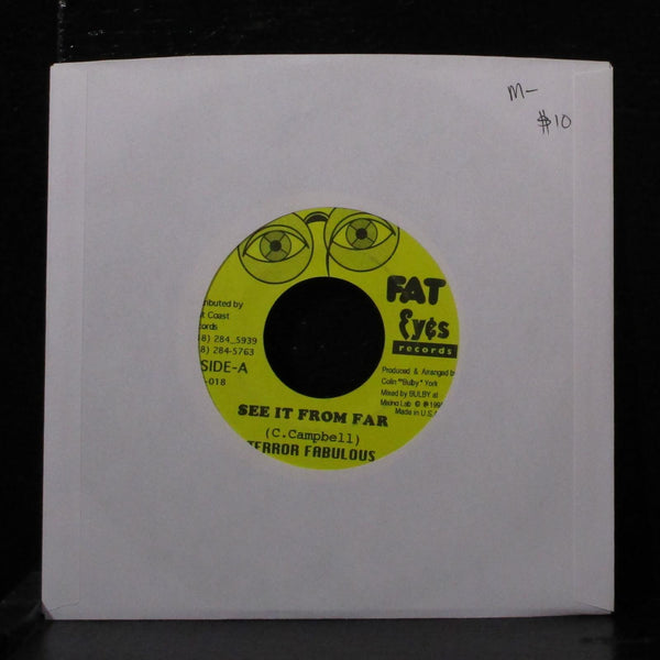 Terror Fabulous - See It From Far 7" Mint- Vinyl 45 Fat Eyes FE-018 USA 1998 - Shuga Records